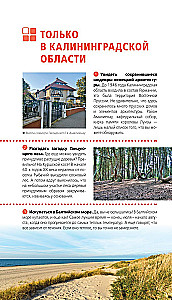Kaliningrad and Kaliningrad Region. Zelenogradsk, Curonian Spit, Svetlogorsk, Baltiysk, Yantarny, Chernyakhovsk, Sovetsk, Pravdinsk, Zheleznodorozhny